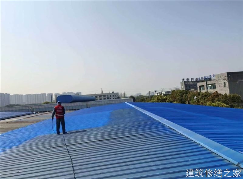肇庆2026鼎湖区 金属屋面防腐 企业